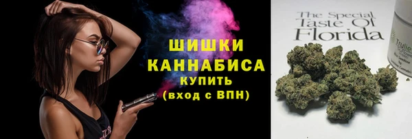 шишки Алзамай