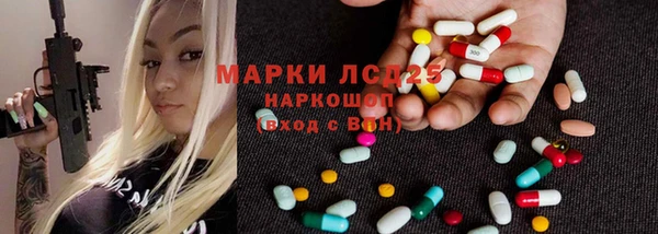 шишки Алзамай